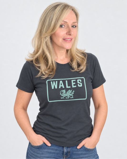 COLOURFUL WALES | T-SHIRT